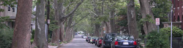 Beals Street - part of JFK's neighborhood as a boy.