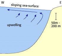 upwelling diagram 3