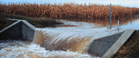 Cropping Systems and Water Quality Research Site Logo