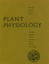 The cover of the journal