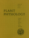 The cover of the journal