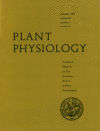 The cover of the journal