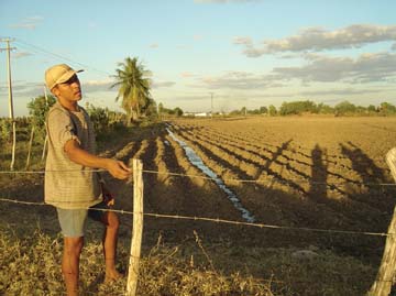 Figure 26: Irrigation of beans in Morada Nova, Ceará, Brazil.