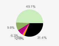 Pie chart: in table form below