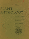 The cover of the journal