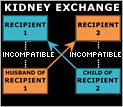 Diagram of an exchange performed because of blood type incompatibility.