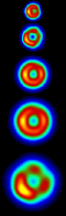 radio telescope sequence of SN1993