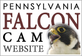 View the Falcon Camera website 