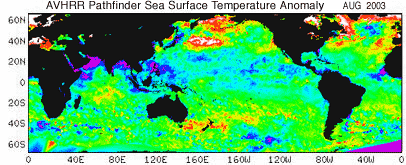 Global Sea Surface Temperature Data - 08/2003