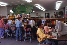 Young students in school computer lab