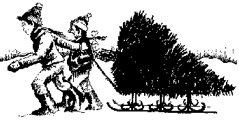 [Graphic] Image of two children pulling a Christmas tree on a sled