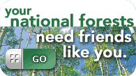 Your National Forests Need Friends like you