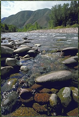 [photo] North Fork John Day River, NFJD Ranger District