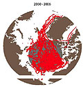 An image of the globe with data from Arctic buoys reporting Surface air temperatures and sea level pressure were used to create sparse storm tracks from 1950 to 1972. Buoys also captured the data used to create the abundant storm tracks from 2000 to 2006.