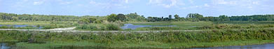 panoramic photo of Loxahatchee NWR