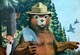 Smokey Bear -- visit galleries