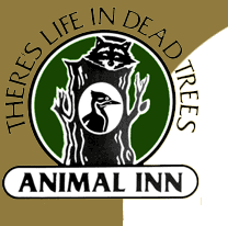 Animal Inn