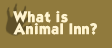 <What is Animal Inn?>