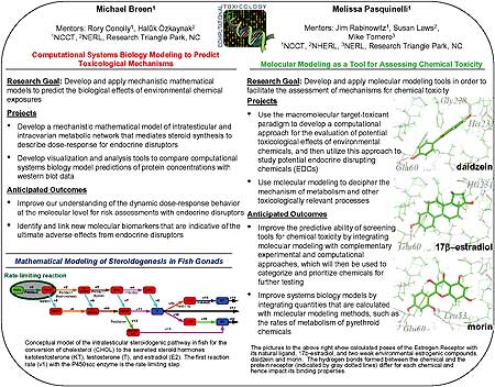 Image of poster presentations