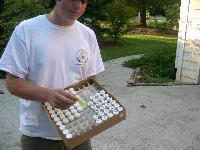 Volunteer who collected a set of samples