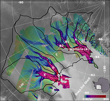 Antarctic ice stream velocities