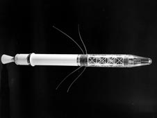 Explorer 1