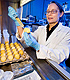 A scientist examines eggs in the laboratory. Link to story.