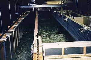 This hydraulic flume is divided by a horizontal bar rack to test how fish of different sizes respond to barrier structure features such as louver width and louver angle to flow. 