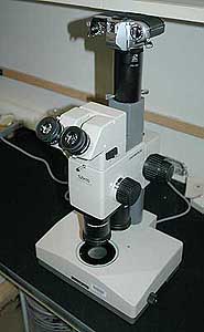 Olympus SZH-10 stereo dissection microscope with a t-mount for a Nikon FG film camera.