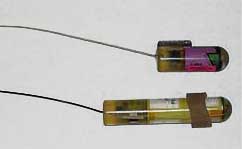 Radio frequency transmitters ready for implanting in test fish
