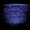 DIDSON sonar image of underwater trash rack at the Tracy Fish Collection Facility, California.