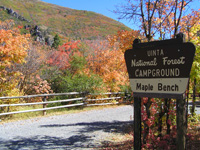 maple bench campground