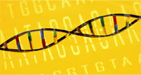 Human Genome