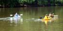 visitors kayak on the schuylkill river