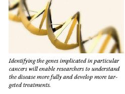 Identifying the genes implicated in particular cancers will enable researchers to understand the disease more fully and develop more targeted treatments.