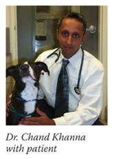 Dr. Chand Khanna with patient