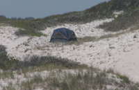 Lone tent between dunes in wilderness area.