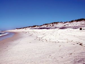 Summer beach with dunes in background.