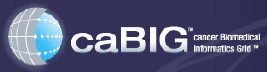 caBIG logo