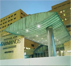 The Karmanos Cancer Institute