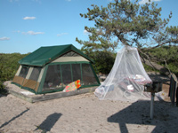 Tent with mosquito netting.