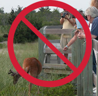 Red slash over image of people attempting to feed a deer beside the boardwalk.