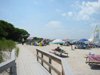 Picnic tables, grills and colorful umbrellas on calm bay beach.