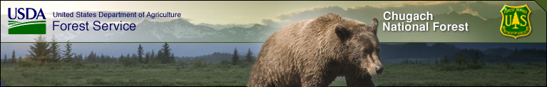 A lone grizzly amble sin the foreground with sparsely forested plains in the immediate background and the Chugach Mountains looming in the distance.