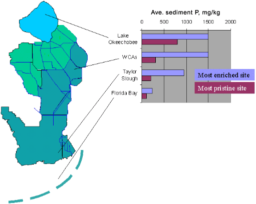 map and ave. sediment P graph