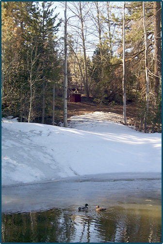 Cattlemans detention basin