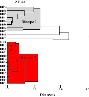diagram showing Q-mode cluster analysis foraminiferal data