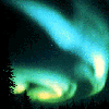 Auroral Curl Through
 Trees