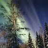 3/6/99 Aurora with Trees