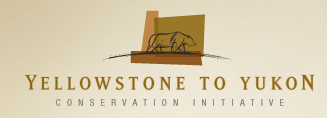 Yellowstone To Yukon